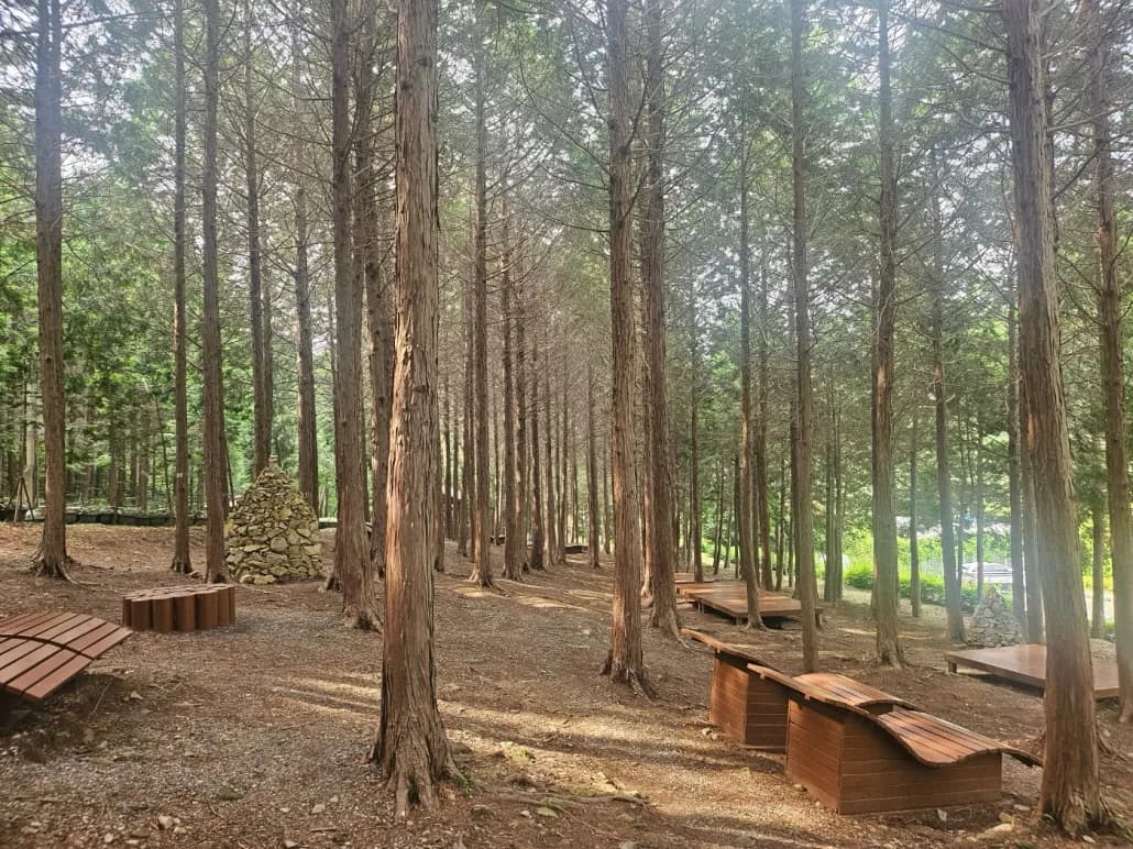 ‘지붕 없는 미술관’ 고흥으로 떠나는 봄맞이 3색 트레...